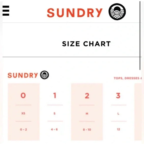 Sundry White Hooded Sweatshirt with Perforated Back Design - Picture 12 of 13